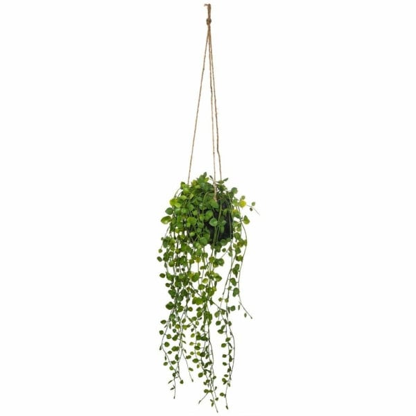 Sztuczny kwiat w doniczce Peperomia, wiszący, Ø 18 x 62 cm