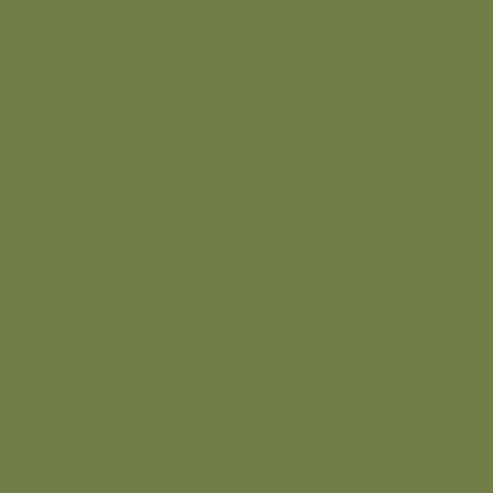 Spuitverf - Khaki - RV-6013 - Hardcore MTN - 400 ml