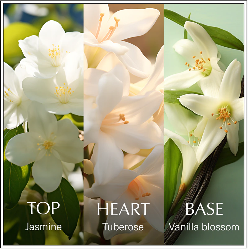 Chanson d'Eau Original Jasmine eau de toilette para mulheres