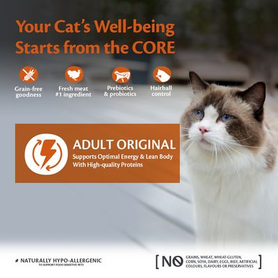 Wellness Core Adult Original Torrfoder för Katter
