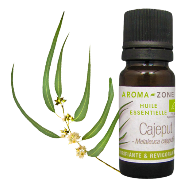 Huile essentielle Cajeput BIO 30ml