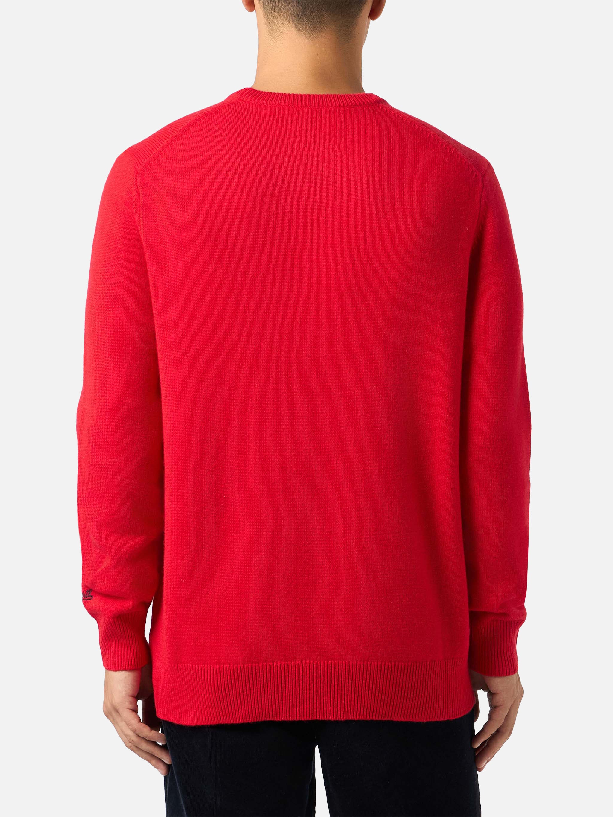 Maglione da uomo Heron con jacquard Vacanze di Natale | VACANZE DI NAT