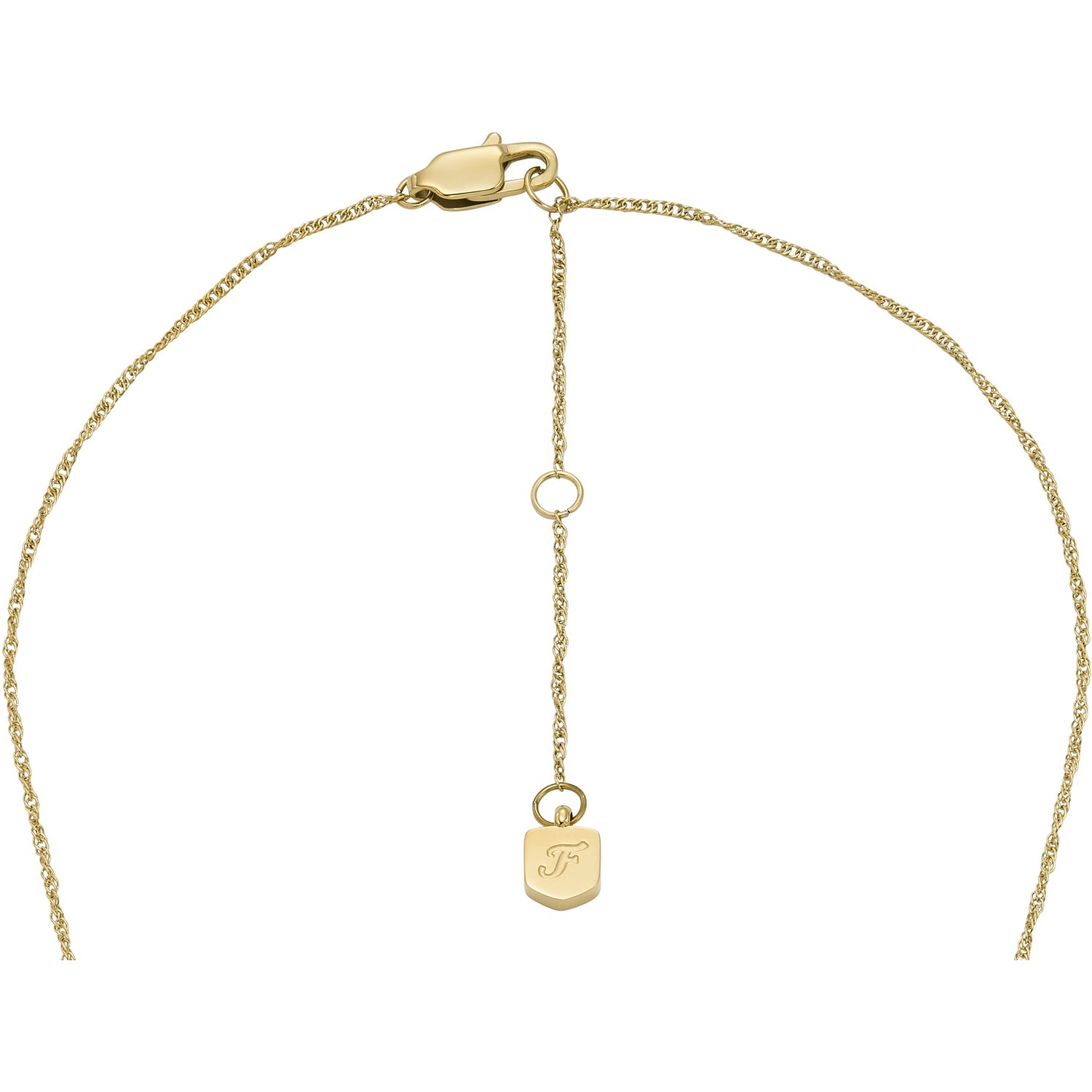 Fossil Chaînes