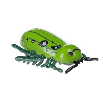 Insekten-Katzenspielzeug