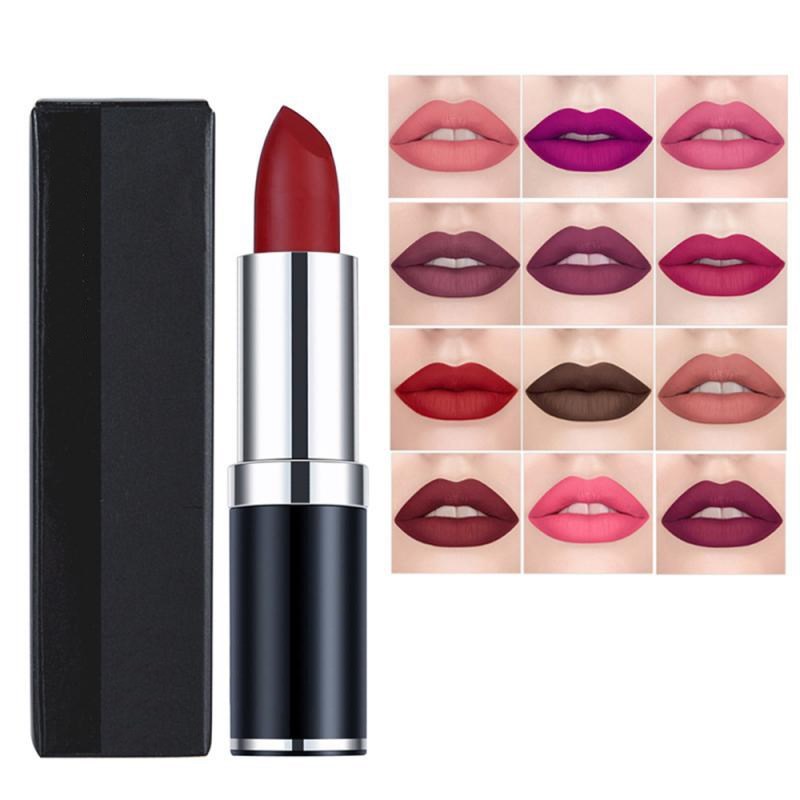 Rouge à lèvres mat velours 12 couleurs, gloss, crème pigmentée, waterproof, longue tenue, texture soyeuse, maquillage des lèvres pour femmes, cosmétique TSLM1