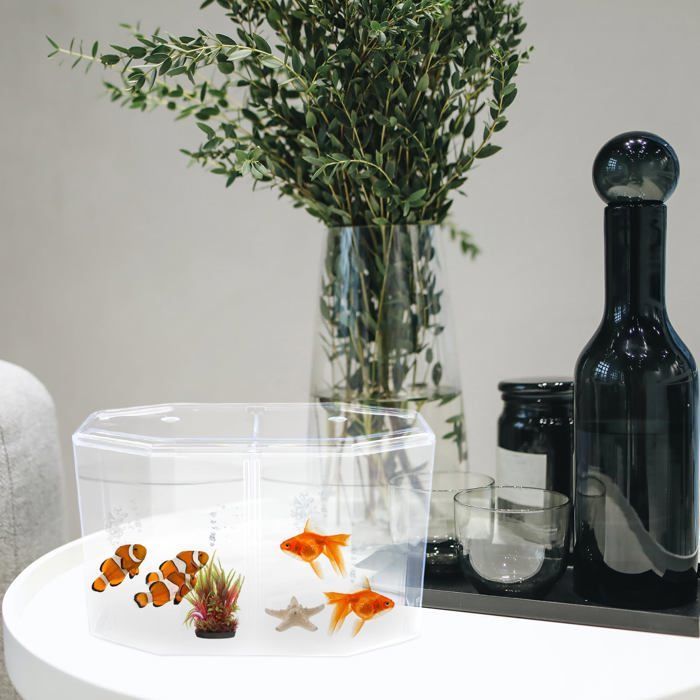 Miniatuur tafelaquarium: Klein betta-aquarium met verwijderbare scheidingswand voor betta's en goudvissen - voor beginnende kinderen