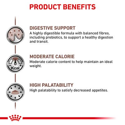 Royal Canin Veterinary Cat - Gastrointestinal Moderat Kaloriinnhold
