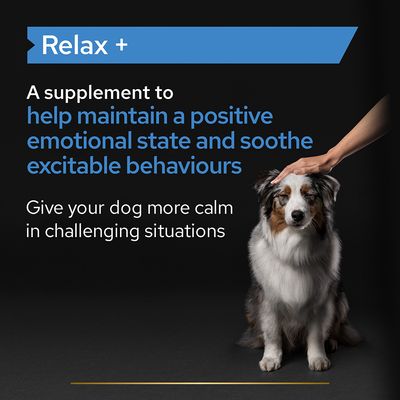 PRO PLAN Olio Integratore Rilassante per Cani
