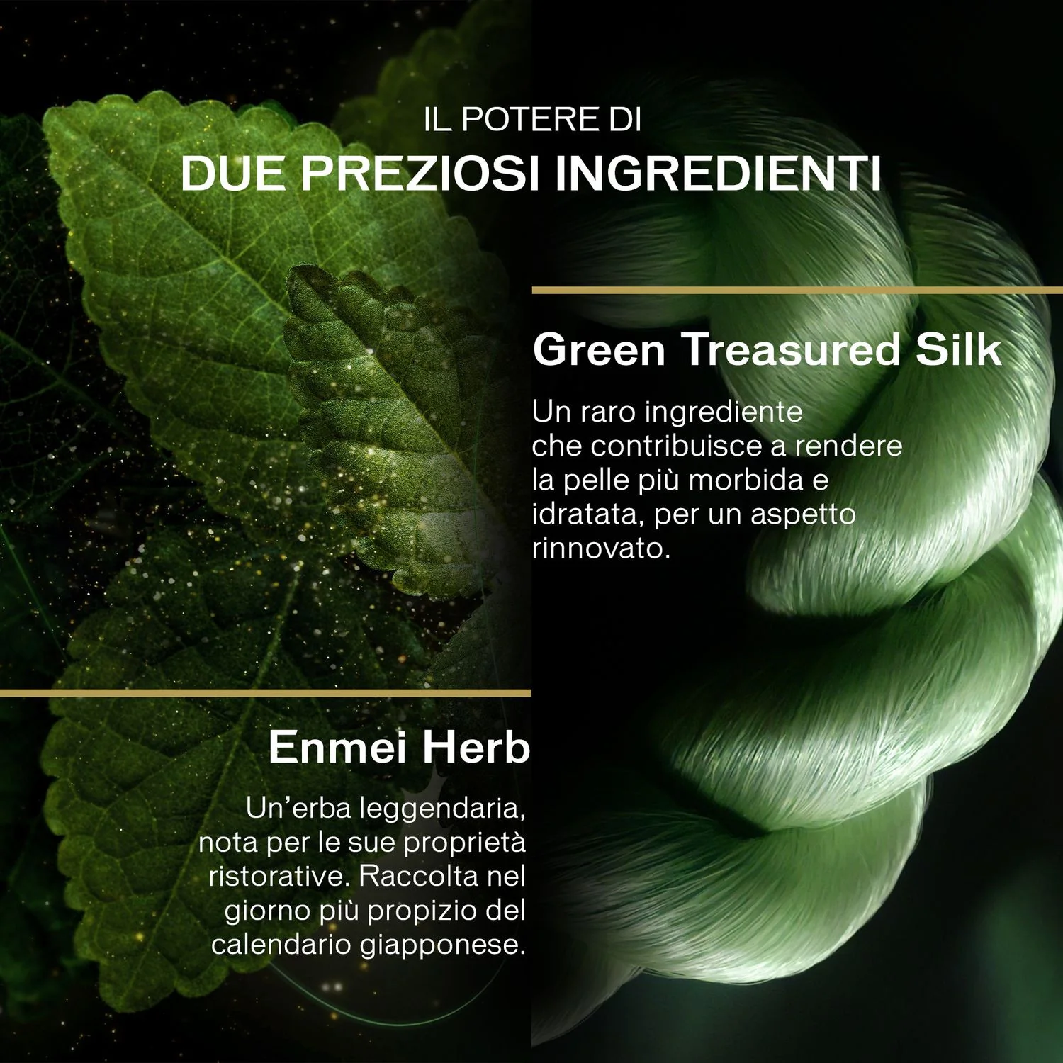 Future Solution Lx Legendary Enmei Ultimate Renewing Cream - Tratt.viso 24 ore antirughe