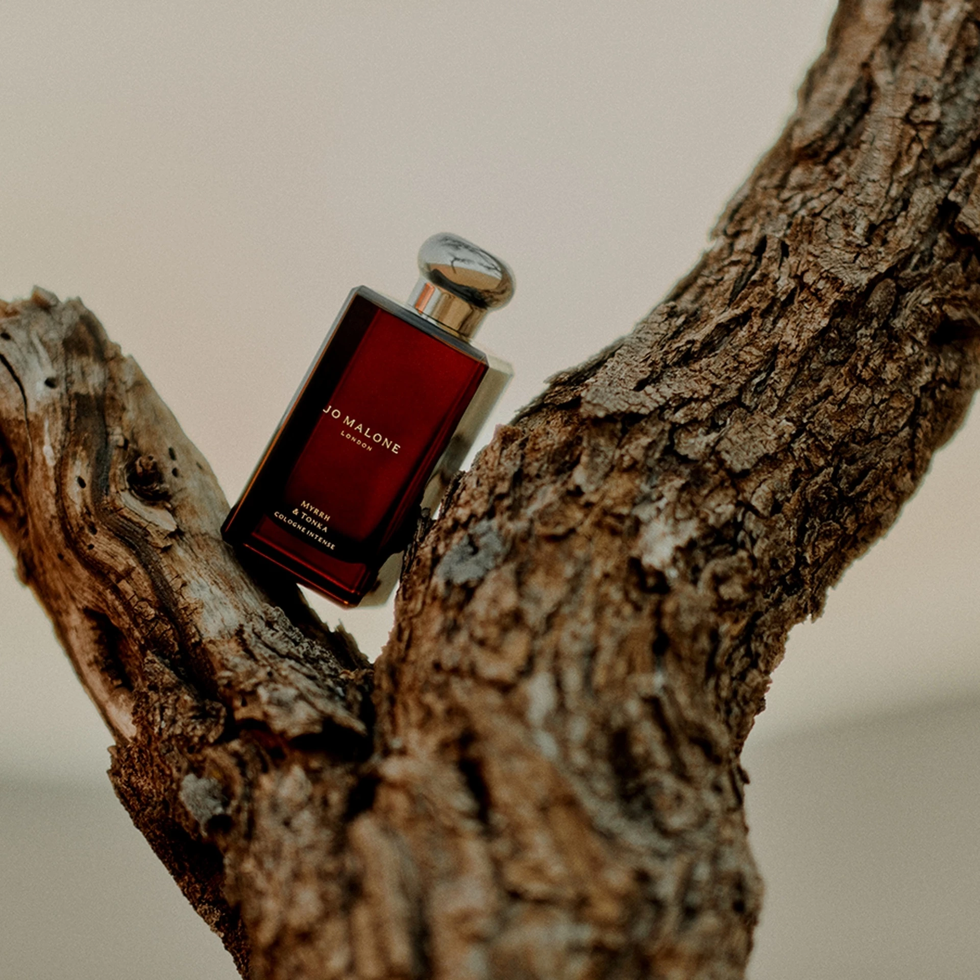 Intenzivna kolonjska voda Mira in Tonka 50 ml - Jo Malone London