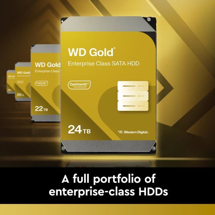 WD Gold WD4004FRYZ - Disc