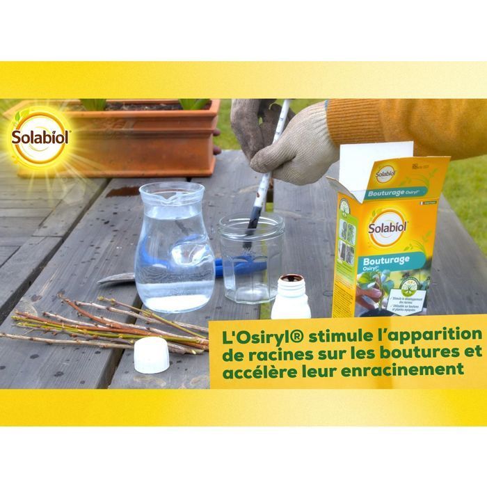 SOLABIOL Bouturage osiryl - 40ml - Jusqu'à 20L de solution - Stimulateur racinaire - Utilisable sur boutures & plantes repiquées