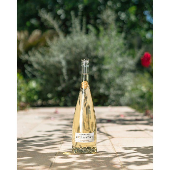 Cote des Roses chardonnay 2024 Lot 6 bouteilles 75cl