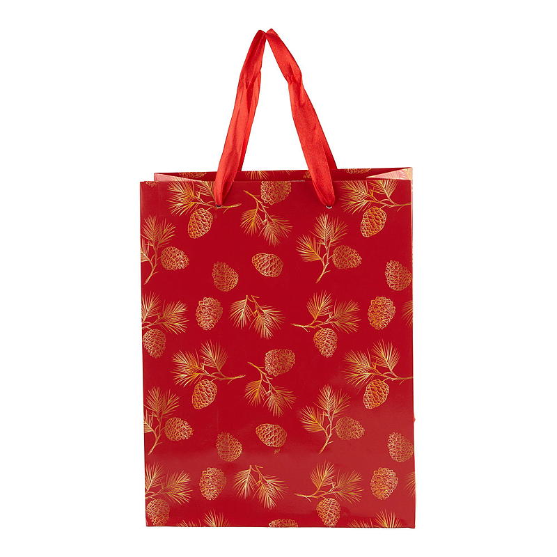 Cadeautas voor thuis 20x25,5x11 cm middelgroot