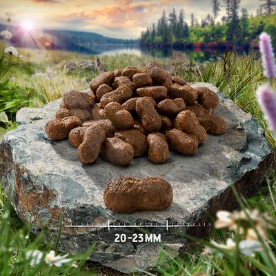 Purizon Pollo y pescado sin cereales para adultos grandes