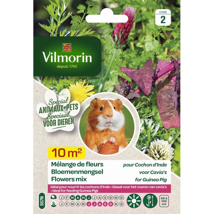 Samen - Vilmorin - Blumenmischung für Meerschweinchen