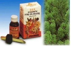 Grynas paprastosios pušies aliejus 10 ml