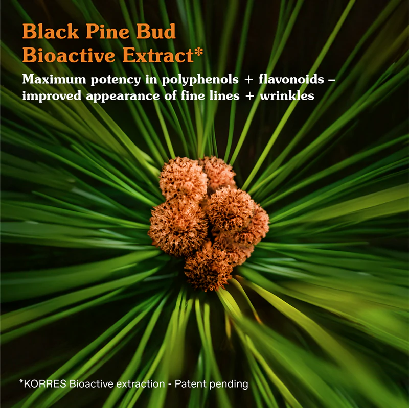 Hydratačný denný krém proti starnutiu Korres Black Pine Primus