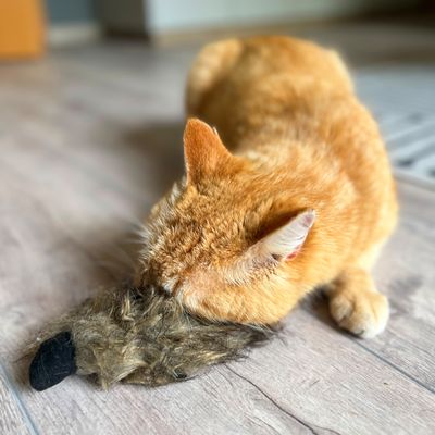 Zabawka dla kota Aumüller Ferret