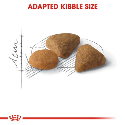 Royal Canin Demanding Savory