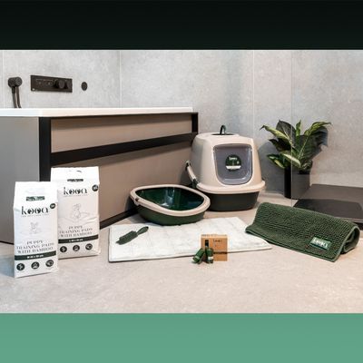 kooa Katzentoilette – 100 % recycelter Kunststoff