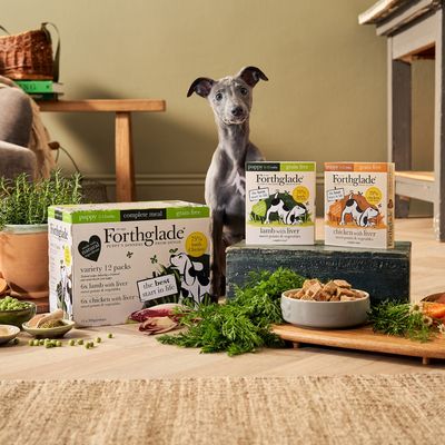 Forthglade Complete Meal sin cereales para cachorros - Cordero y pollo