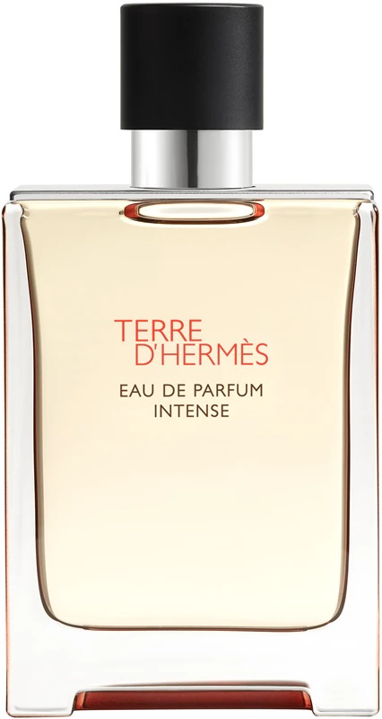 HERMÈS Terre d'Hermès parfumuotas vanduo Intense intensyvus vyrams