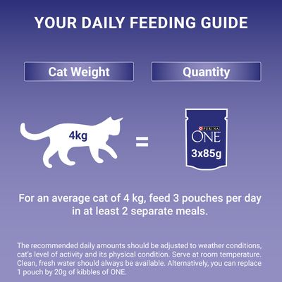 PURINA ONE Ενηλίκων