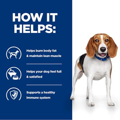 Hill's Prescription Diet Canine r/d Weight Loss
