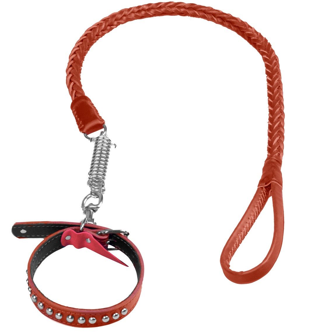 Смеђа кожна огрлица и поводац Огрлице, поводци и још много тога