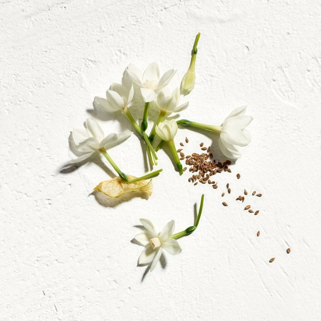 Jil Sander Eau de Parfum Sun za žene – 75 ml