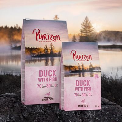 Purizon Adult Getreidefreie Ente mit Fisch