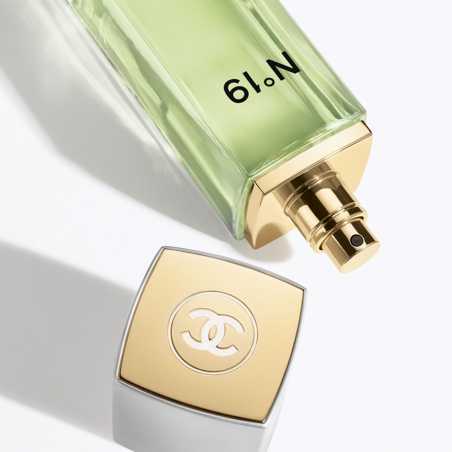 CHANEL toaletna voda br. 19 EAU DE TOILETTE VAPORISATEUR - 100 ml
