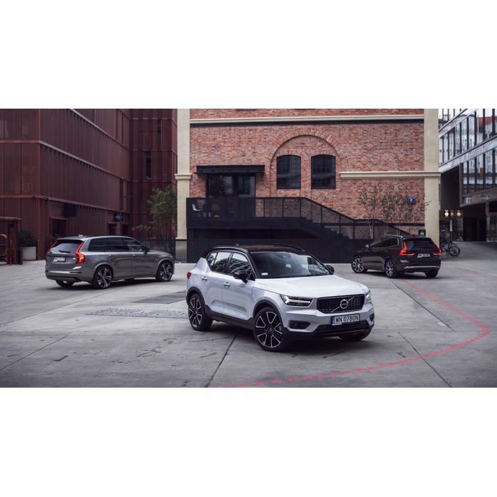 VOLVO XC40: Gato original para coche