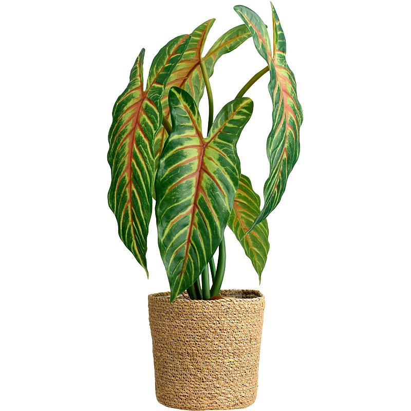 Hjem Xanthosoma plante 50 cm kunstig