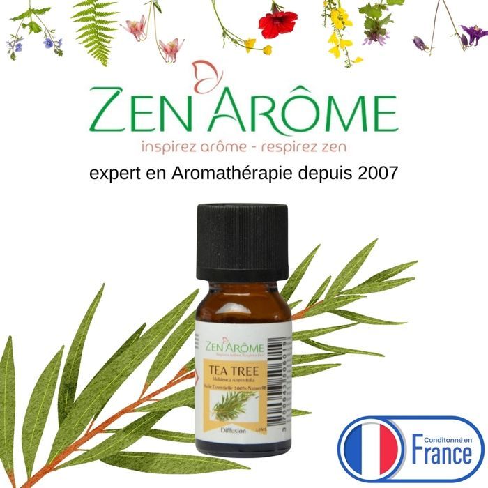 Olio essenziale di tea tree – 100% puro e naturale - Diffusione aromaterapica – 10 ml – Confezionato in Francia - Zen'Arôme