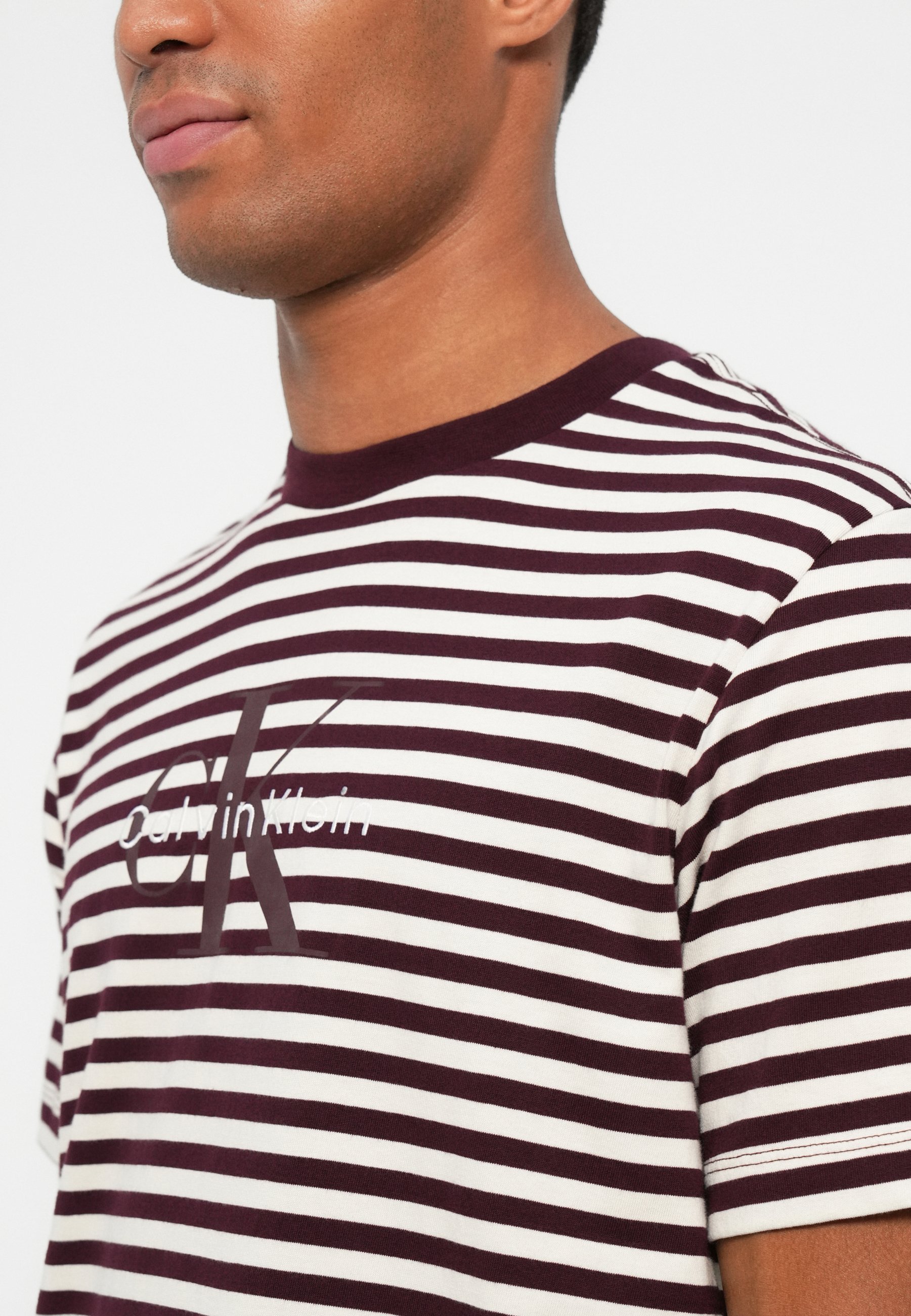 Calvin Klein Jeans STRIPE MONOLOGO - T-shirt stampata - marrone marocchino