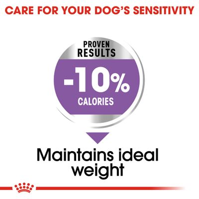 Royal Canin Medium Stérilisé
