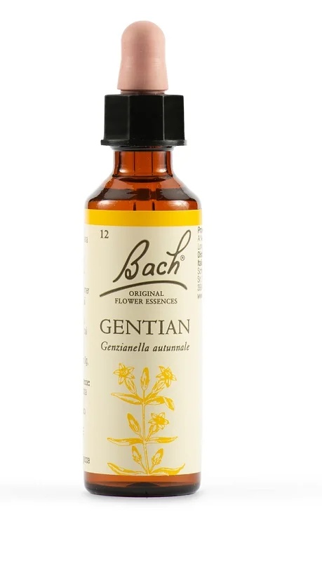 SCHWABE Schwabe Bachbloesems 12 gentiaandruppels 20 ml