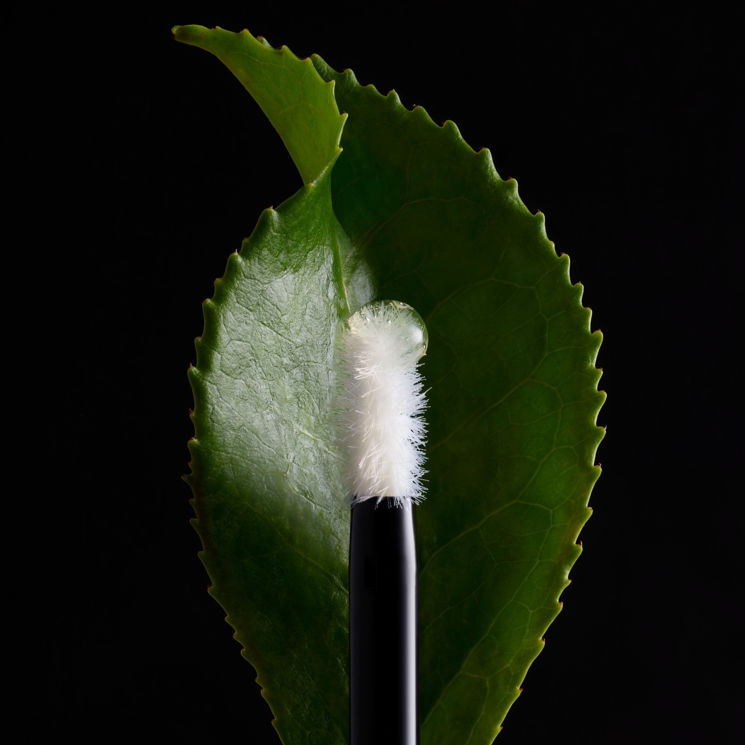 „Aveda“ drėkinamasis serumas „Invati Ultra Advanced™“ antakių tankinimo serumas – 5 ml