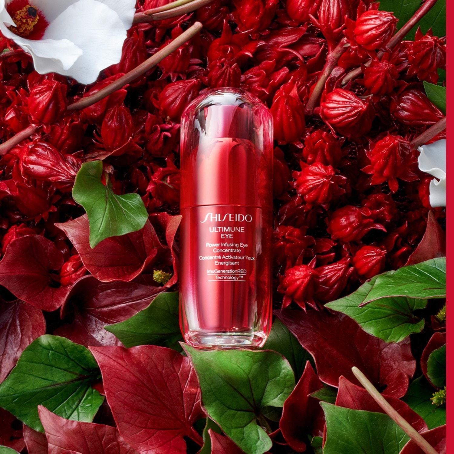 Shiseido Ultimune Power Infusing koncentrirani serum za područje oko očiju - 15 ml