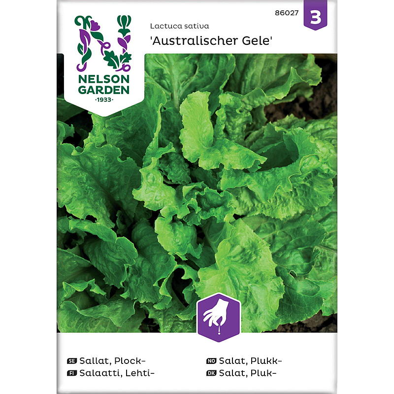 Nelson Garden Seeds Salat Pick-, Australsk Gele