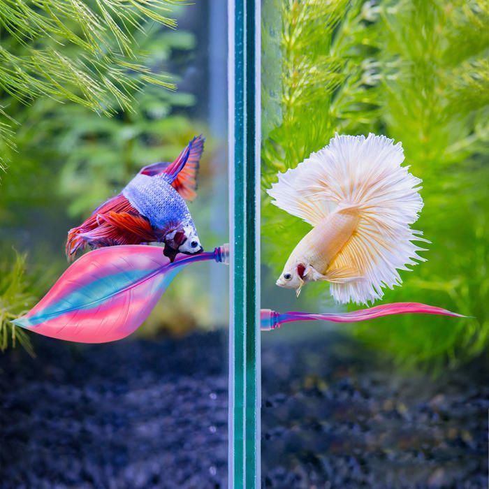 Hamac à feuilles pour lit Betta, 2 pièces, pour un repos pratique, poisson Betta, rose