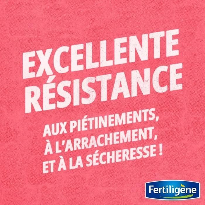 FERTILIGENE Fertilizante de larga duración para césped - 4 kg - 200 m² /nc