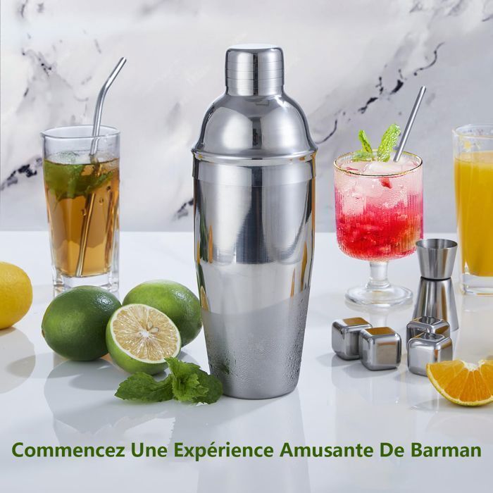 Shaker Cocktail Set en Acier Inoxydable de 23 Pièces Support en Acrylique-Cocktail Kit Complet-Professionnel kit pour Barman