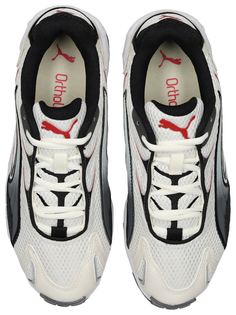 Puma Inhal