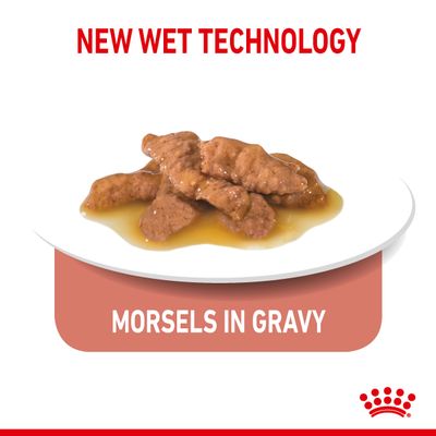 Royal Canin Indoor Sterilised 7+ in Gravy