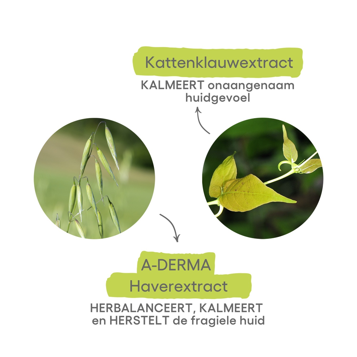 A-DERMA Anti-Juckreiz-Pflege Cutalgan roll-on - 10 ml