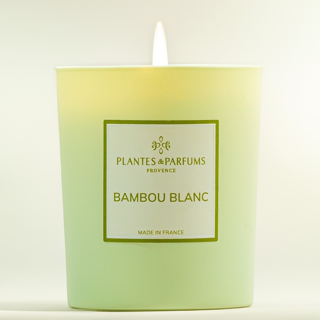 Plantes & Parfums Bambou Blanc