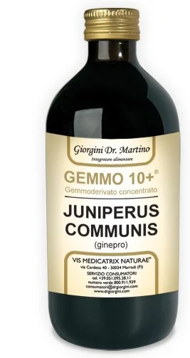 Dr. GIORGINI Jeneverbes 500 ml Analco Gemmo 10+